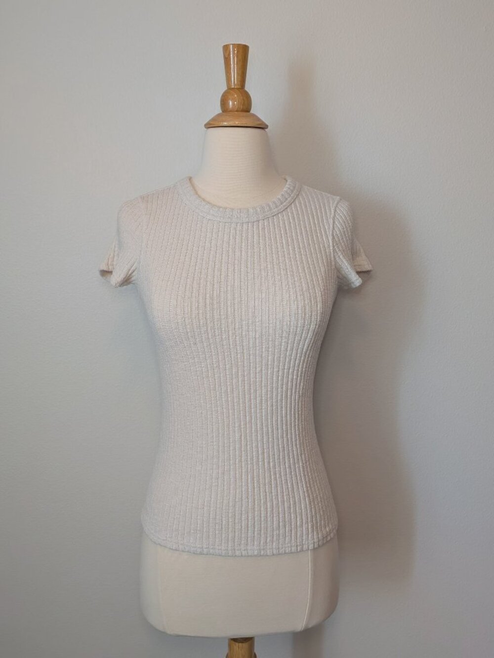 Everlane Cozy Rib Tee